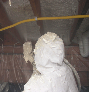  MI crawl space insulation